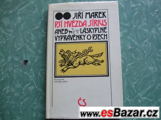 Psí hvězda Sirius – fotografie 1