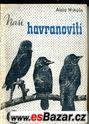 Naši havranovití - Alois Mikula – fotografie 1