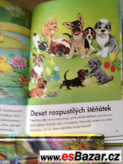 Zapomnětlivý Punťa – fotografie 5