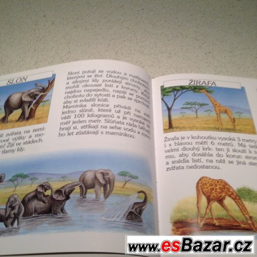 Zvířátka a hádanky- Savana – fotografie 2