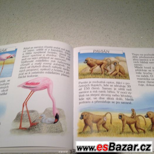 Zvířátka a hádanky- Savana – fotografie 3