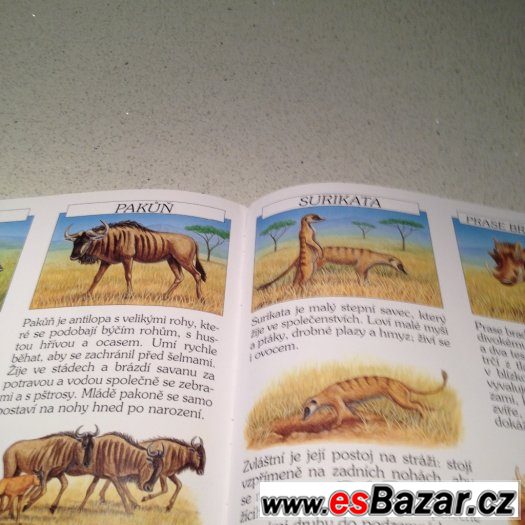 Zvířátka a hádanky- Savana – fotografie 5
