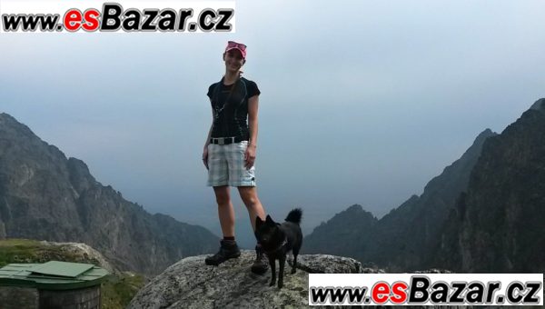 Šiperka s PP - zadáme štěňátka, pejsky – fotografie 6