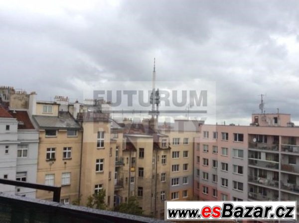 Byt 2+kk, 69m2, terasa, OV, cihla, metro A - Flora – fotografie 1