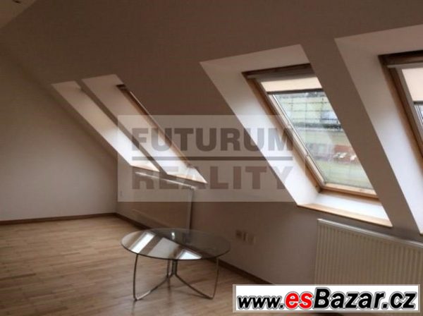 Byt 2+kk, 69m2, terasa, OV, cihla, metro A - Flora – fotografie 4