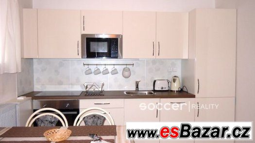 Pronájem rekonstruovaného a zařízeného bytu 2+1, 60 m2, Hrad – fotografie 4