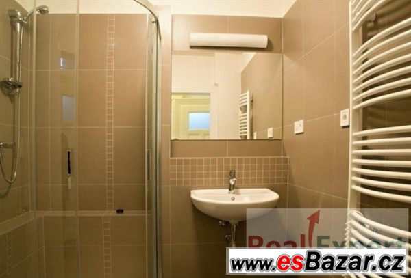 Pronájem bytu 2+kk, 56m2, Praha 2 - Vinohrady, ul. – fotografie 4