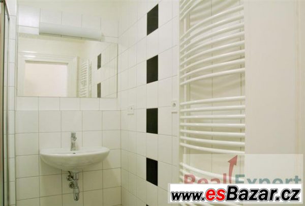 Pronájem bytu 1+kk, 43m2, Praha 2 - Vinohrady, ul. – fotografie 5