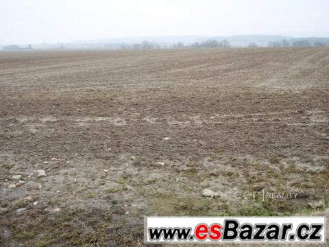 Prodej pozemku 5657 m2, obec Žernov, okres Náchod. – fotografie 2