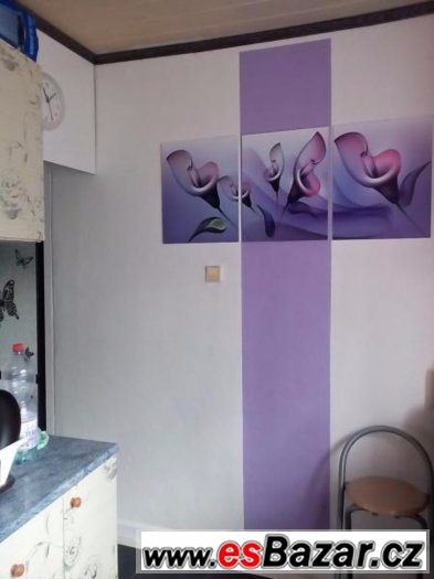 pronájem 2+1s balkonem, Ostrava-Hrabůvka, Provaznická ulice – fotografie 2