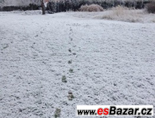 Stavební pozemek Velký Beranov Jihlava – fotografie 1