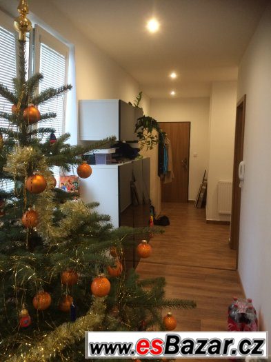 Pronájem pokoje spolubydlící, Brno – fotografie 3
