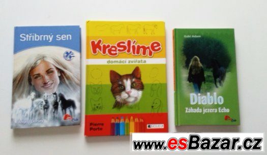 Stříbrný sen , Diablo záchrana jezera Echo,... – fotografie 1