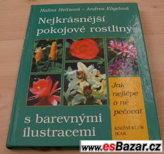 Nejkrásnější pokové rostliny – fotografie 1