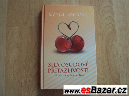 Síla osudové přitažlivosti - NOVÁ – fotografie 1