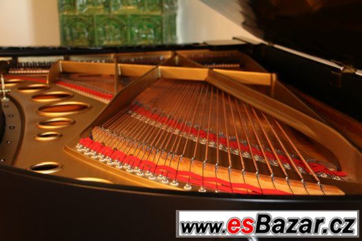 Klavír Bosendorfer Model 1 ( 282 cm) – fotografie 1