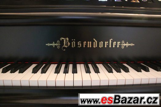 Klavír Bosendorfer Model 1 ( 282 cm) – fotografie 5