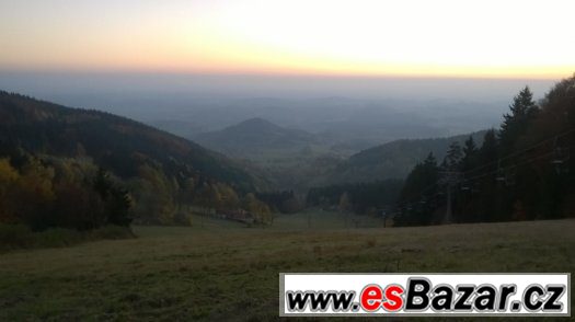 Nabízím práci v lese – fotografie 1