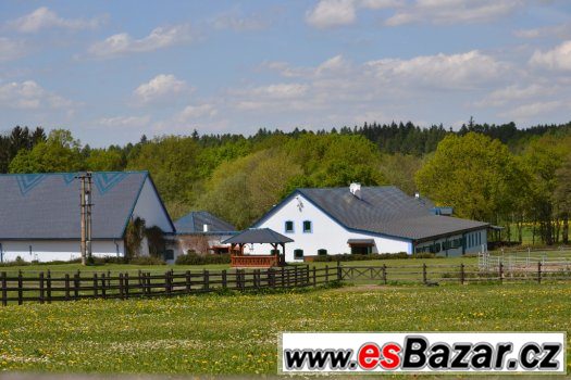 Pracovní jezdec-ošetřovatel dostihových koní – fotografie 2