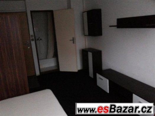 Dlouhod. ubytování v penzionu Praha 3 Jarov – fotografie 2