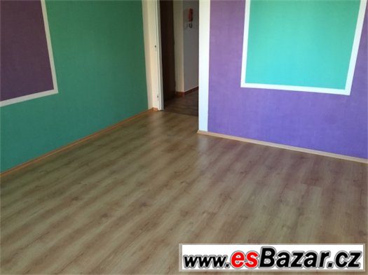 Pronájem prostorného 3 +1 (70m2) - Týnec nad Sázavou – fotografie 4