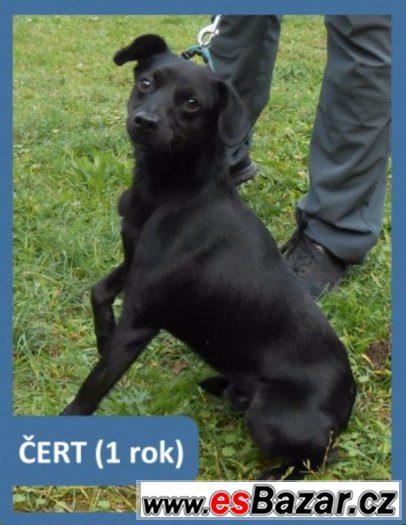 Čertík chce na zimu domů – fotografie 1