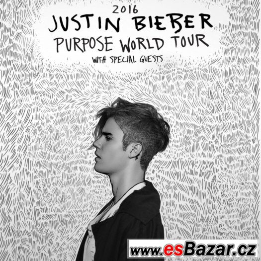 JUSTIN BIEBER - nejlepší sezení (sektor 113) – fotografie 1