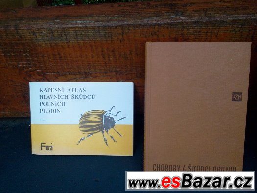Choroby a škůdci, entomologie – fotografie 3