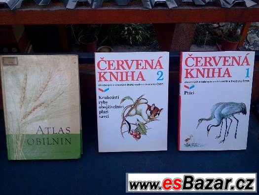 Choroby a škůdci, entomologie – fotografie 4