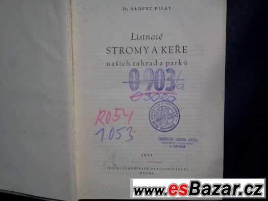 Listnaté stromy a keře našich zahrad a parků – fotografie 3