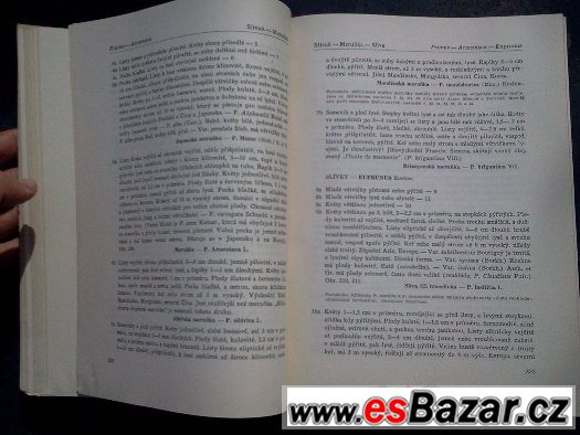 Listnaté stromy a keře našich zahrad a parků – fotografie 4