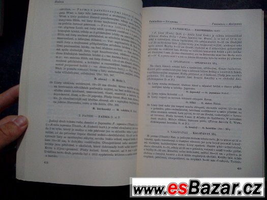 Listnaté stromy a keře našich zahrad a parků – fotografie 5