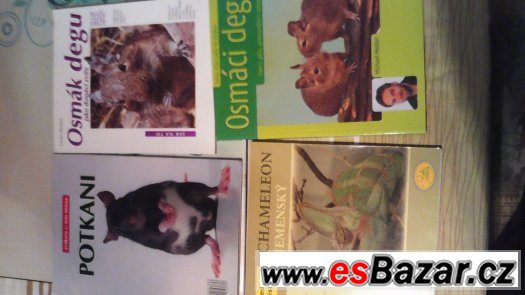 Knihy – fotografie 1