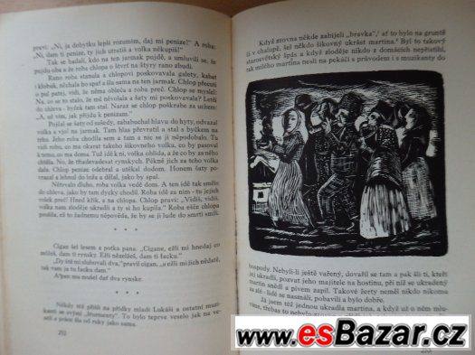 Helena Salichová – Ze starých časů – Kronika slezského kraje – fotografie 2