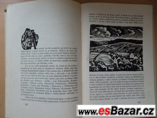 Helena Salichová – Ze starých časů – Kronika slezského kraje – fotografie 4
