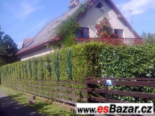 Rodinný dům Bříza – fotografie 1