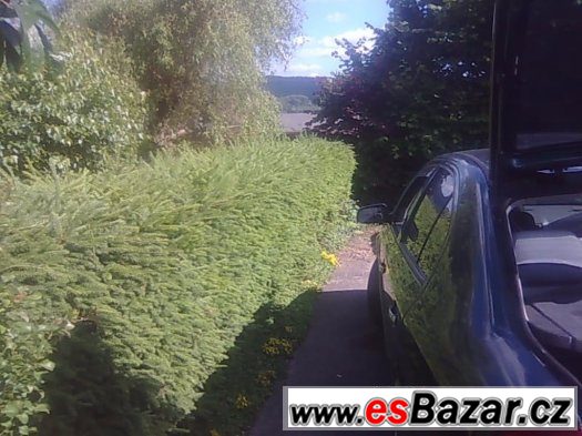 Rodinný dům Bříza – fotografie 5