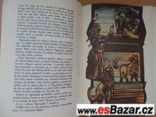 Dmitrij Nagiškin – Pohádky z tygří stezky – fotografie 3