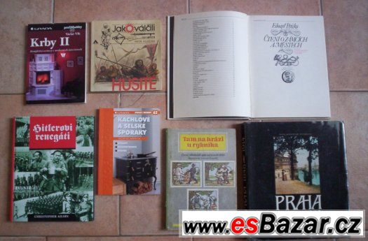 Knihy pro kutily – fotografie 4