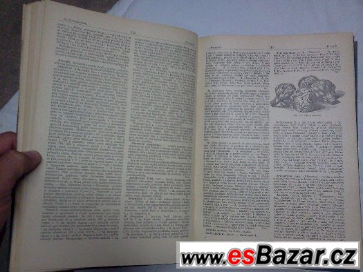 Zahradnický a ovocnicko-vinařský slovník naučný – fotografie 2