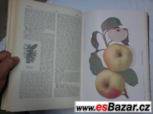 Zahradnický a ovocnicko-vinařský slovník naučný – fotografie 3