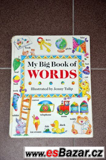 MY BIG BOOK OF WORDS_ANGLIČTINA PRO DĚTI – fotografie 1