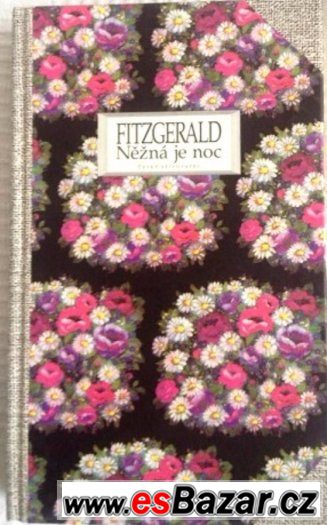 Fitzgerald - Něžná je noc – fotografie 1