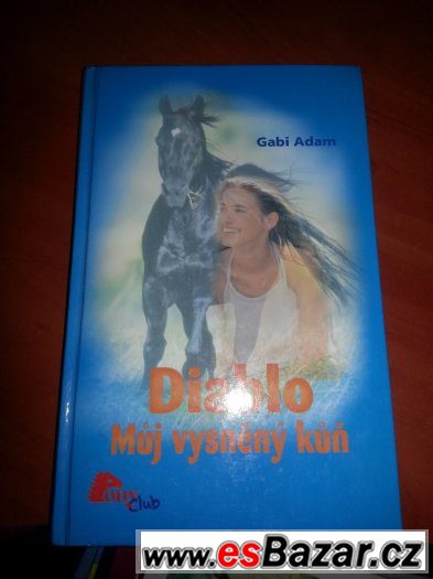 Diablo, můj vysněný kůň – fotografie 1