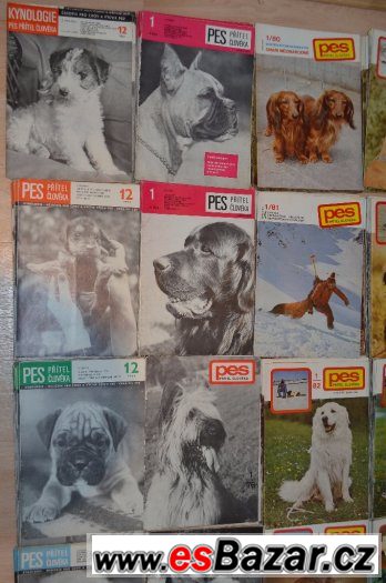 PES PŘÍTEL ČLOVĚKA 1967-2002 – fotografie 2