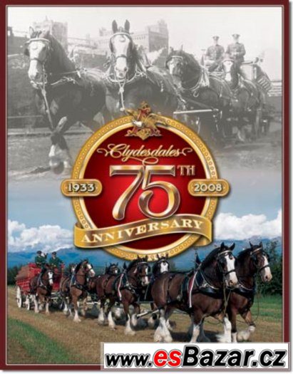 75 ANNIVERSARY - plechová cedule 410x320mm – fotografie 1