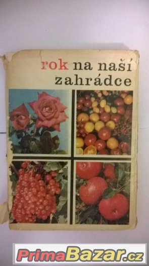 Prodám – fotografie 1