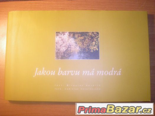 Kniha Jakou barvu má modrá – fotografie 1