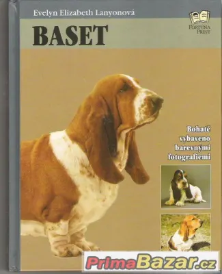 Kniha Baset   cena 89 kč