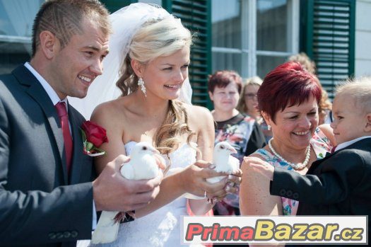 Svatebni holubi – fotografie 3